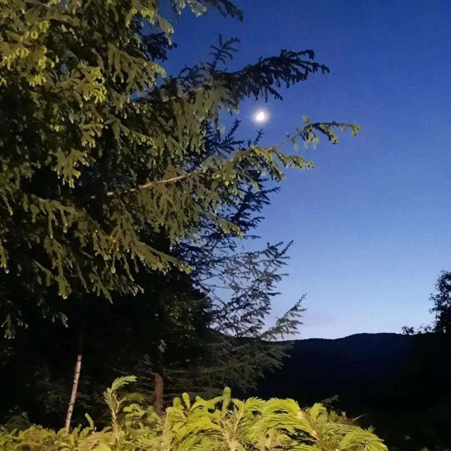 Kalmul Naturii, Iuresul Padurii Firiza-de-Jos Εξωτερικό φωτογραφία